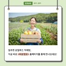 풍기인삼직매장 이미지
