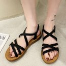 2594 쇼핑하우