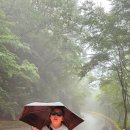 희방지원탐방센터 화장실 이미지