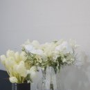 메이드핏 바이 브래이디 | 2026년 6월 예신 스튜디오 콜레트 (구 클로드원스) 김혜민 작가님 웨딩촬영 꿀팁 총정리