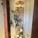 심미안 | 부산 여행 청사포 녹차 빙수 심미안 후기