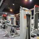 바디와이짐 이미지