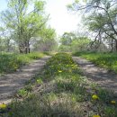 고향마을 이미지