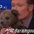 종은 이미지