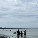 돌핀서프 | 제주도서핑 - 돌핀서프 이용후기