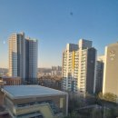 운양초등학교 | 석면청소 김포 운양 초등학교 청소