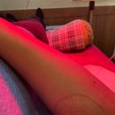 진흥한의원 이미지