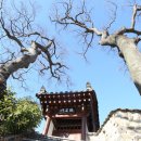 선바위길 이미지