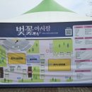[군산/나운동] 군산 벚꽃 명소, 데이트하기 좋은 벚꽃야시장 _ 은파호수공원