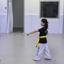 용인대 아이튼튼 태권도장 이미지