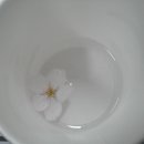 진달래약수터 이미지