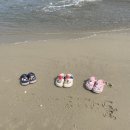 베트남 다낭:)하얏트 리젠시 리조트 만족스러웠던 2️⃣조식과 수영장 후기