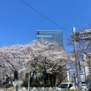 한성모터스(주) 이미지