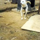 우리들 농장 이미지