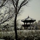 눈이야기 이미지