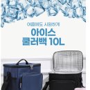 여름신상 아이스쿨러백 10L, 20L, 이미지