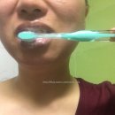 민트는검정맛이래요