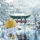 용산-이촌-2077 이미지