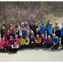 개미공인중개사사무소 이미지