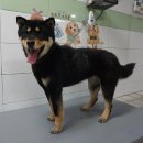 세븐일레븐(가평자라째즈점) 이미지