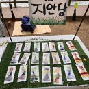 꼰노레더