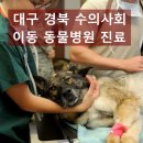 의성동물병원 이미지