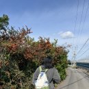 인디무드 | w06. 제주스냅 어바웃무드 웨딩 촬영 찐 후기