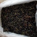 대요농장 이미지