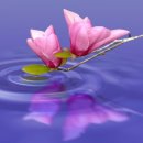 노래 소스 모음 이미지