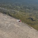 신촌주유소 | 2026년 2월 3주차 일기 (부제: 玉石混淆)