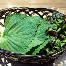 장충당 녹번점 이미지