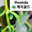 청능대로 611번길 이미지