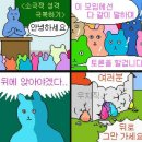 내적관종의 흥을 폭발 시켜벌인 세부 호핑투어 추천 후기 (죠스호핑) 이미지