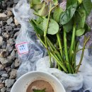 이룸스테이 이미지