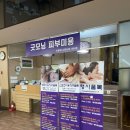 스파렉스피부미용
