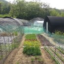 쟁골농장 이미지