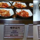 그린테리아1