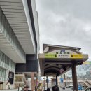 피터팬짐 | 🪄 도쿄 디즈니씨 후기｜판타지 스프링스 첫 방문기 (라푼젤·겨울왕국·피터팬)