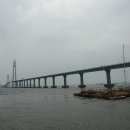 신안 천사대교 이미지