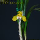 원명 이미지