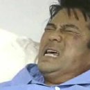 거상애견 이미지