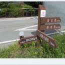 영해초등학교 앞 이미지