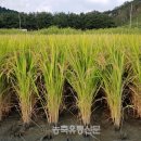 성산개발 이미지