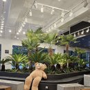 에이바우트커피 구미봉곡점 이미지