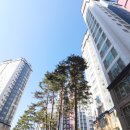 데시앙공인중개사사무소 이미지