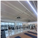 더 보스짐 이미지