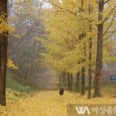 하반기 타박타박 인천 여성종합뉴스