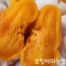 오징어파는언니 이미지
