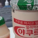 야쿠르트 Daum카페