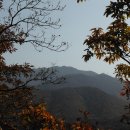 장원초등학교 이미지